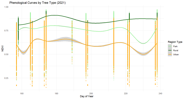 Phenological Curves showing NDVI per Day of Year by Tree Type (Park vs Urban vs Rural)